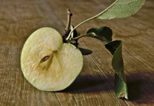 Jak długo rozkłada się ogryzek jabłka?