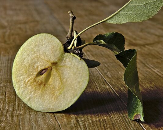 Jak długo rozkłada się ogryzek jabłka?