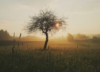 Co zrobić z otwartą raną?