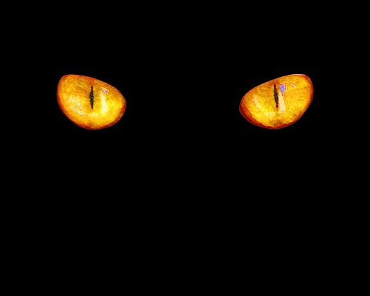 Która barwa lepsza ciepłą czy zimną? Która barwa lepsza ciepłą czy zimną?