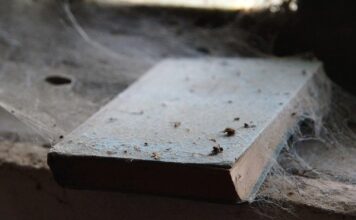 Dlaczego warto układać puzzle? Dlaczego warto układać puzzle?